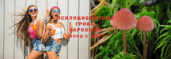 кристаллы Инта